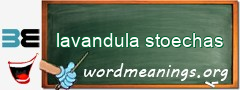 WordMeaning blackboard for lavandula stoechas